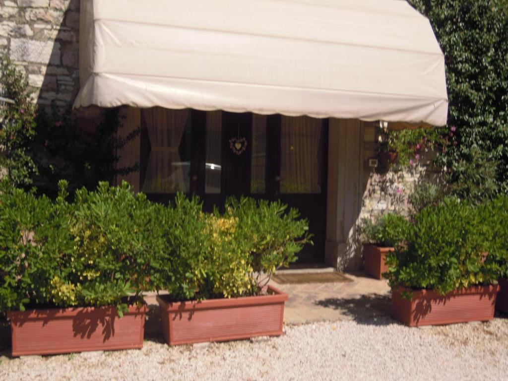 Il Turrione Apartment Assisi Luaran gambar